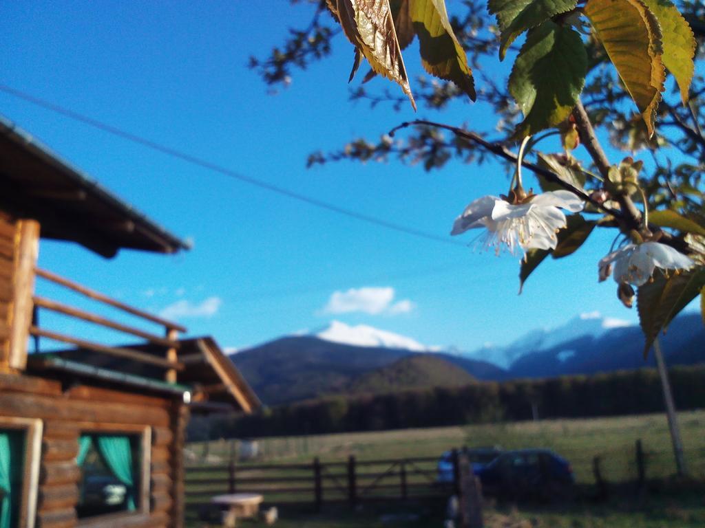 Casa Muntelui - Sambata Pensjonat Sîmbăta de Sus Zewnętrze zdjęcie