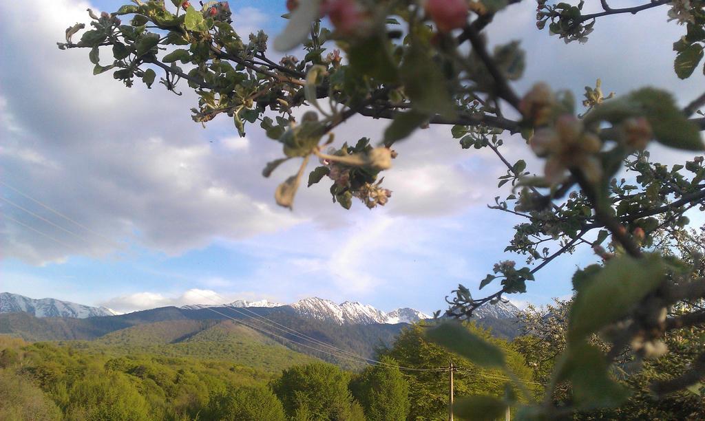 Casa Muntelui - Sambata Pensjonat Sîmbăta de Sus Zewnętrze zdjęcie